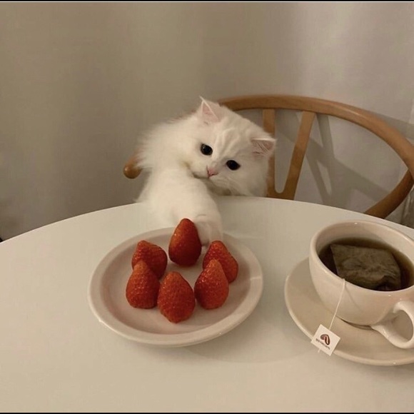 Meet your Posher, Marie - Picture 1 of 1